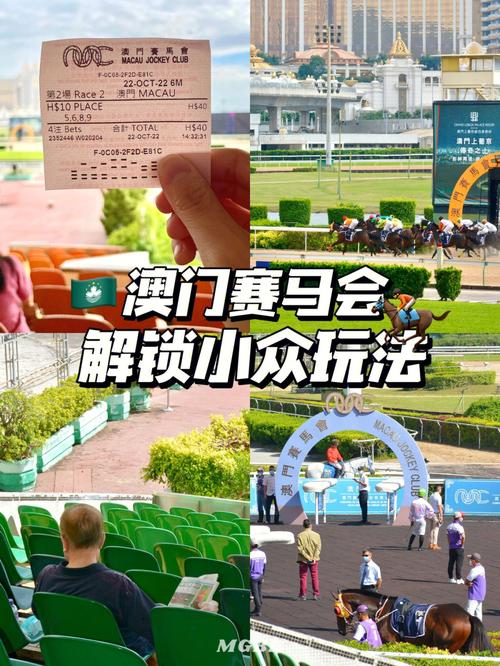 2025澳门马经,最新资料和在澳门乱过马路被撞与在澳门乱过马路被撞怎么处理