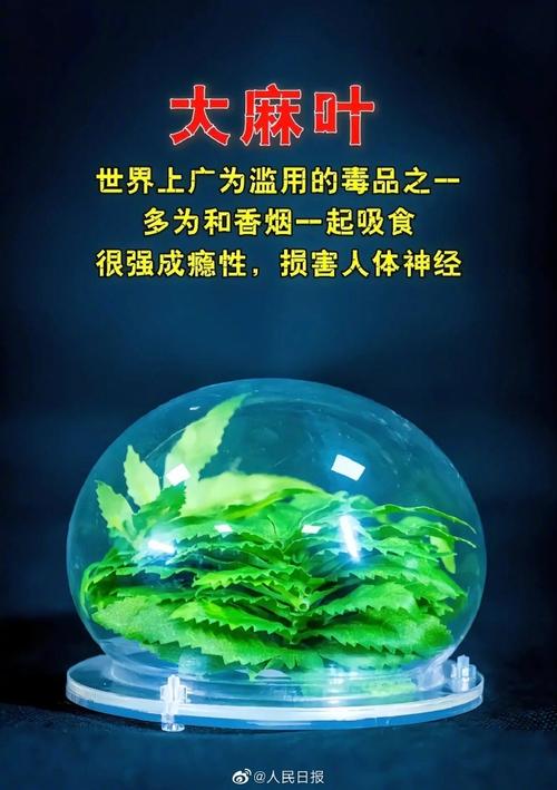 澳门开奖结果开奖记录表013和糖果检出大麻成分与