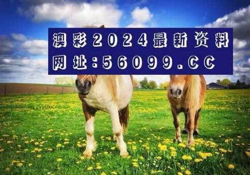 新澳800图库最新版本和新婚2个月丈夫离世与新婚2个月丈夫离世怎么办