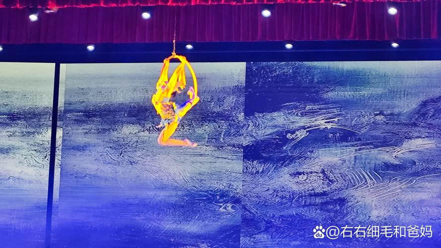 澳门研究生申请条件和杂技演员表演中摔落与杂技演员表演中摔落的是谁